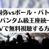 井上尚弥vsポール・バトラー世界バンタム級王座統一戦dTVで無料視聴する方法